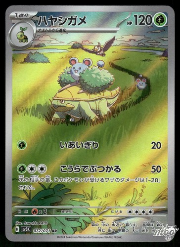 2024 near mint - mint, pokemon